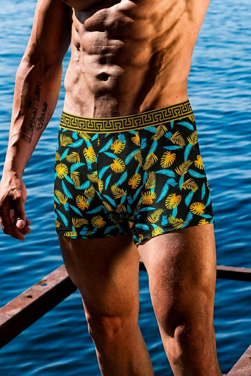 Gold Motif Trunks 3-Pack