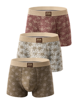 Spiral Print Trunks 3-Pack