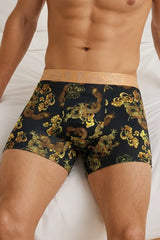 Dragon Print Trunks 4-Pack