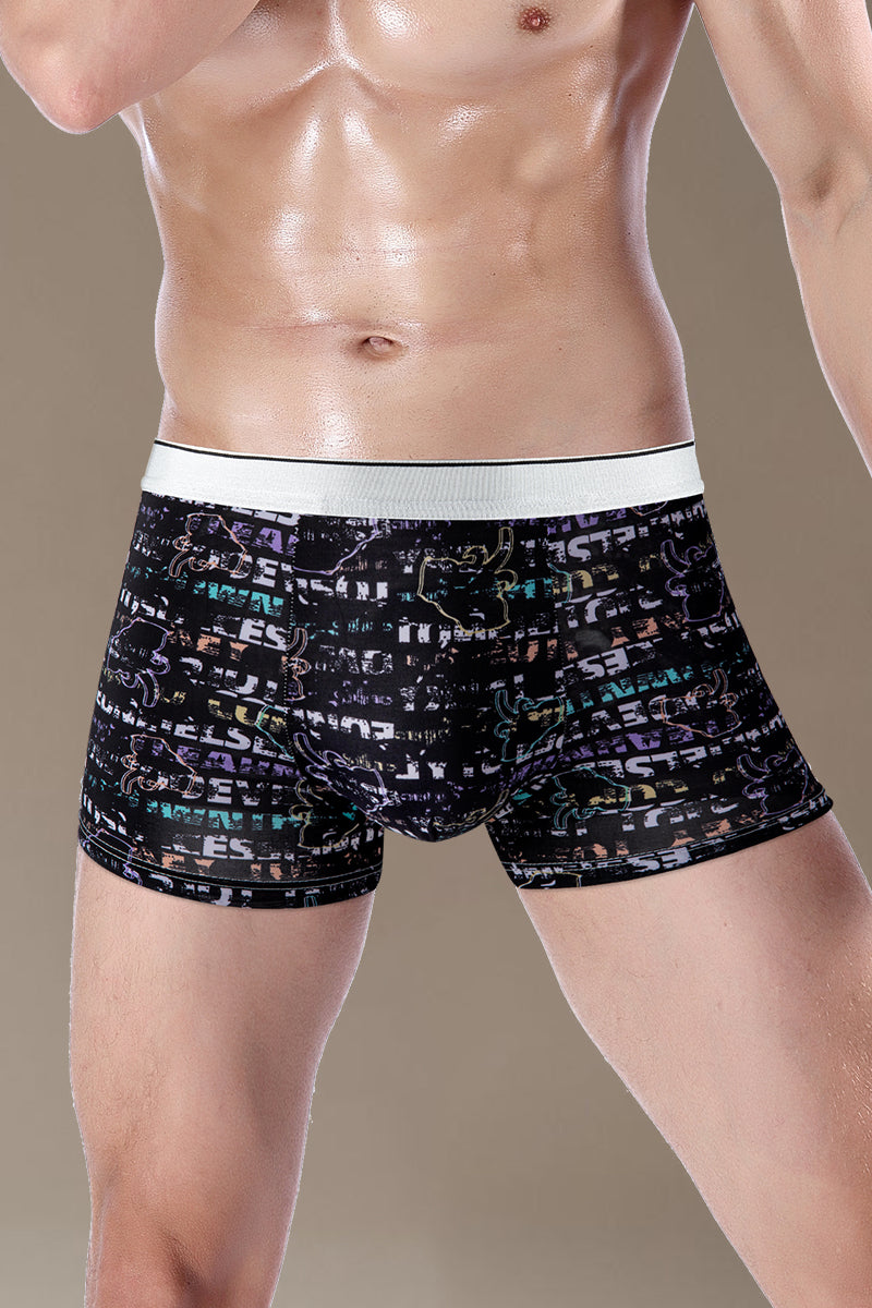 Assorted Novelty Trunks 5-Pack