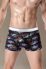 Assorted Novelty Trunks 5-Pack