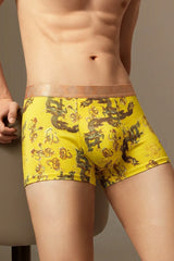 Dragon Print Trunks 4-Pack